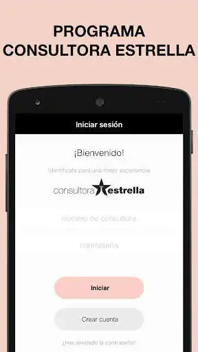 Play Consultora Estrella as an online game Consultora Estrella with UptoPlay