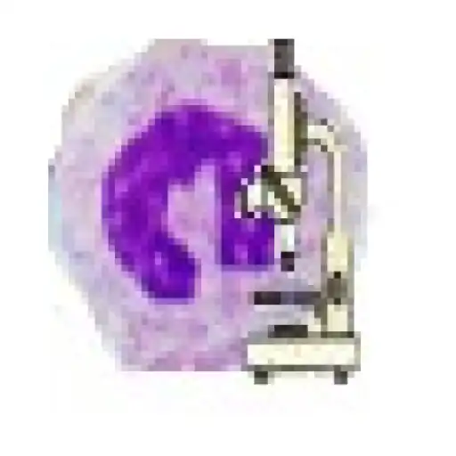 Play ContaCel: contador hemograma APK Play ContaCel: contador hemograma APK