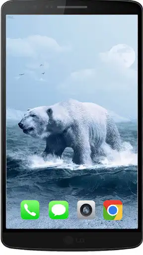 Play Contemporary Pola Bear Wallpaper HD and enjoy Contemporary Pola Bear Wallpaper HD with UptoPlay Play Contemporary Pola Bear Wallpaper HD and enjoy Contemporary Pola Bear Wallpaper HD with UptoPlay