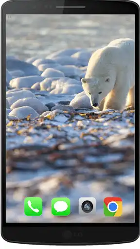 Play Contemporary Pola Bear Wallpaper HD as an online game online Contemporary Pola Bear Wallpaper HD with UptoPlay com.felingdev.polabearwalpaper Play Contemporary Pola Bear Wallpaper HD as an online game Contemporary Pola Bear Wallpaper HD with UptoPlay