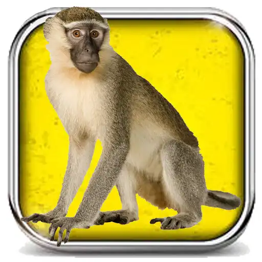 Play Contes kassem français vol. 1 APK Play Contes kassem français vol. 1 APK
