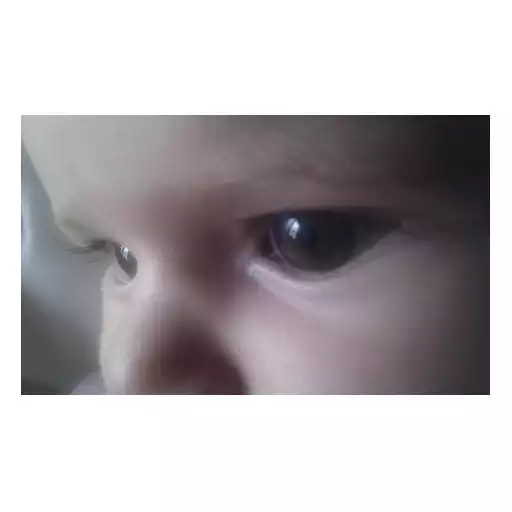 Play Contractions APK