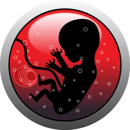 Play Control de Embarazo APK