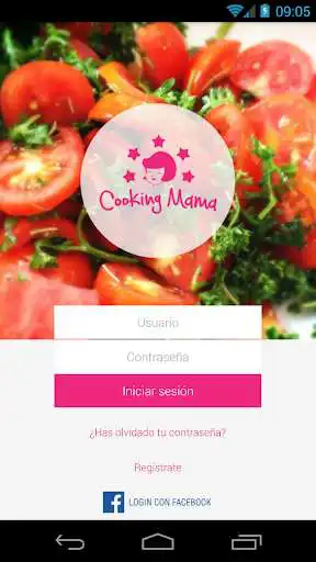 Play Cooking Mama