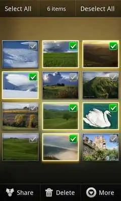 Play Cool 3D Gallery