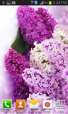 Play Cool and Pretty Wallpapers