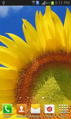 Play Cool and Pretty Wallpapers