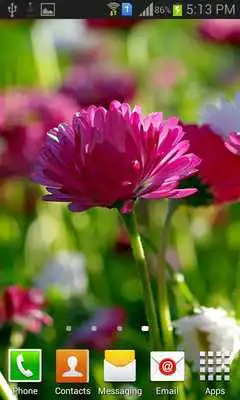 Play Cool and Pretty Wallpapers