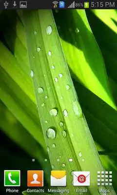 Play Cool and Pretty Wallpapers