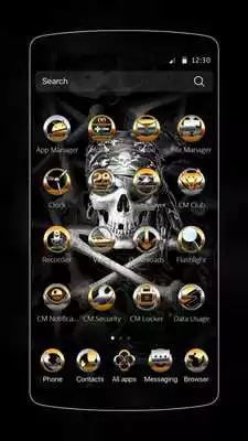 Play Cool Black Skull Theme