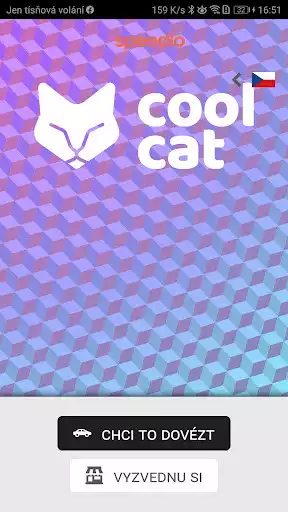 Play Cool Cat
