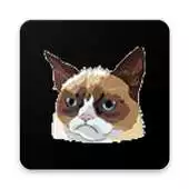 Free play online Cool Cats Stickers for WhatsApp (WAStickerApps) APK
