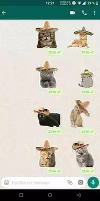Play Cool Cats Stickers for WhatsApp (WAStickerApps)