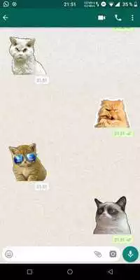Play Cool Cats Stickers for WhatsApp (WAStickerApps)