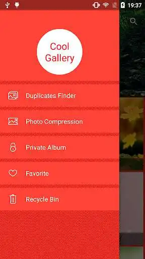Play Cool Gallery