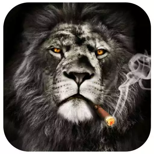 Free play online Cool lion lock screen for you  APK