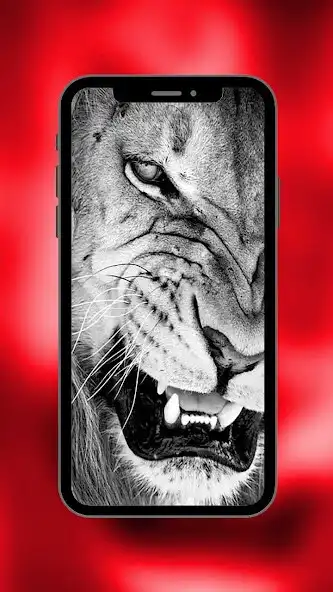 Play Cool monochrome HD wallpaper  and enjoy Cool monochrome HD wallpaper with UptoPlay
