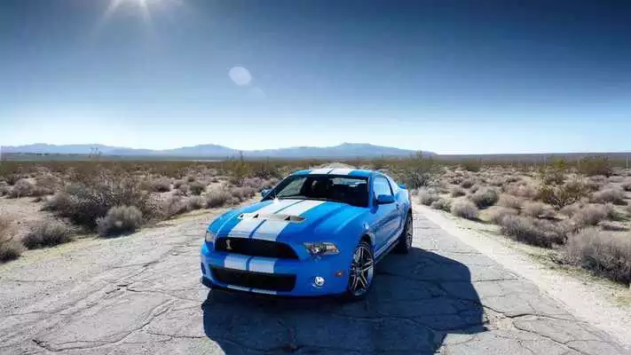 Play Cool Mustang Shelby Wallpaper Play Cool Mustang Shelby Wallpaper