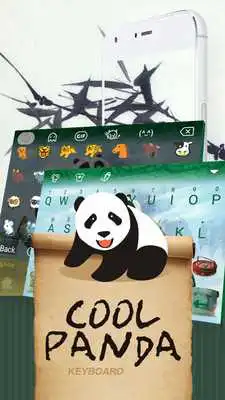 Play Cool Panda