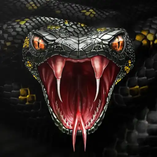 Play Cool snake wallpaper hd/4k APK