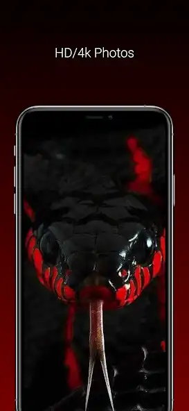 Play Cool snake wallpaper hd/4k  and enjoy Cool snake wallpaper hd/4k with UptoPlay