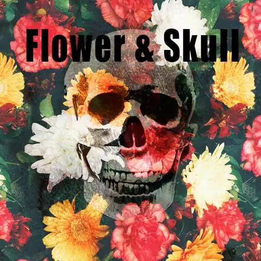 Free play online Cool Theme-Flower Skull- APK
