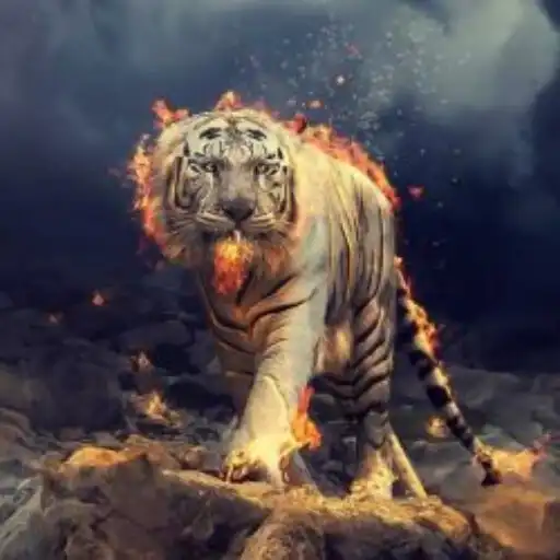 Play Cool Tiger Backgrounds 4k APK