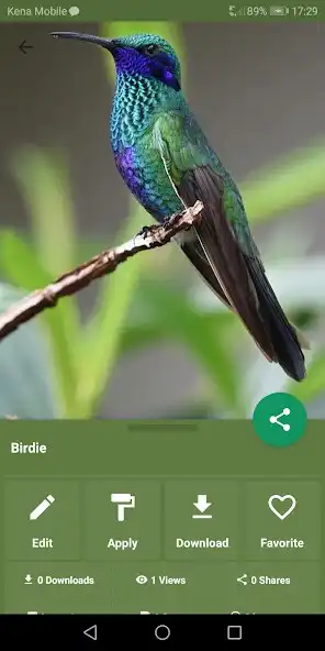 Play Cool Tropical Images  and enjoy Cool Tropical Images with UptoPlay