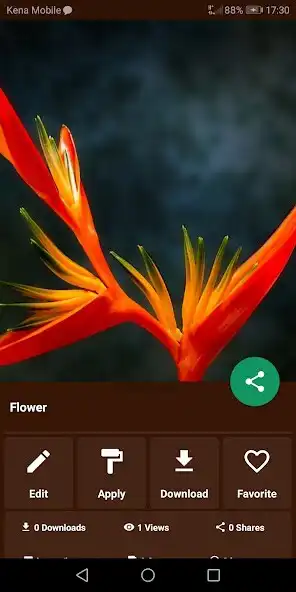 Play Cool Tropical Images as an online game Cool Tropical Images with UptoPlay