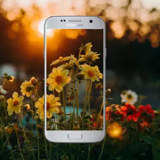 Play cool wallpapers ( live wallpaper ) APK Play cool wallpapers ( live wallpaper ) APK
