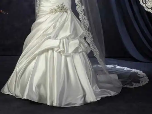 Play Cool Wedding Veil Wallpapers