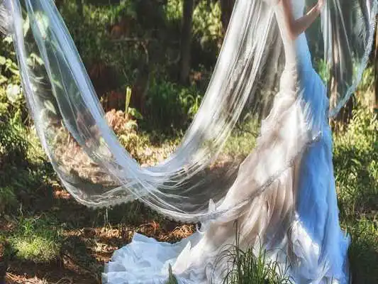 Play Cool Wedding Veil Wallpapers