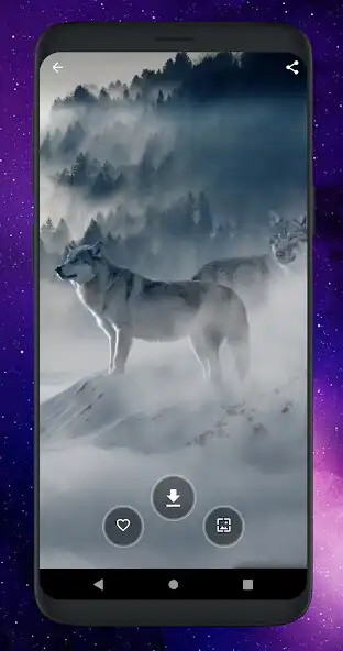 Play Cool Wolf Wallpapers HD  and enjoy Cool Wolf Wallpapers HD with UptoPlay
