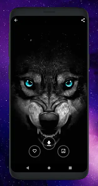 Play Cool Wolf Wallpapers HD as an online game Cool Wolf Wallpapers HD with UptoPlay