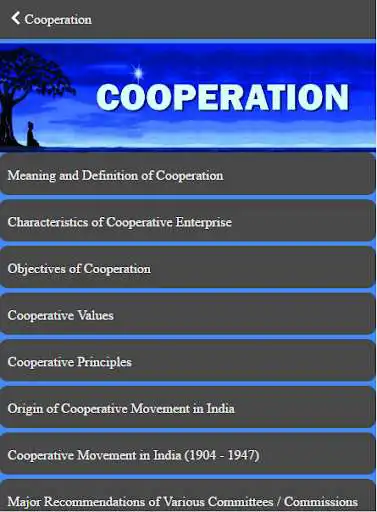 Play Cooperative Management