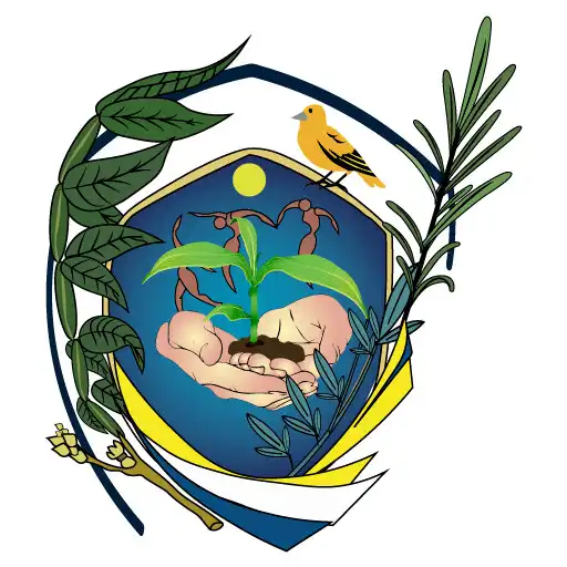 Play Copa S.P. Inchapicho APK