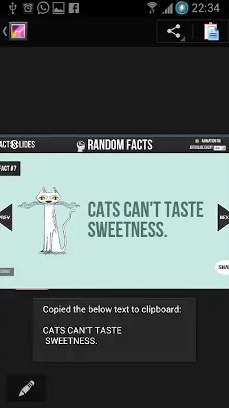Play Copy Text From Screen as an online game Copy Text From Screen with UptoPlay