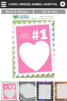 Play Coral Breeze Vet