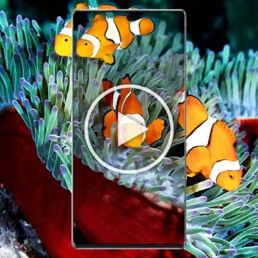 Play Coralfish video live wallpaper APK