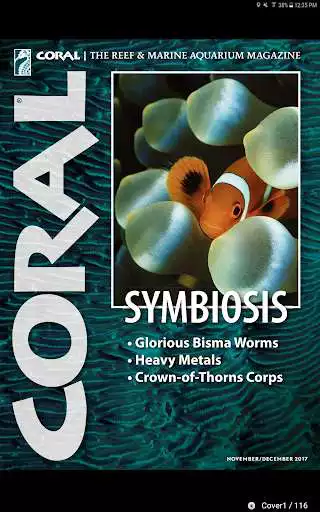 Play Coral Magazine Play Coral Magazine