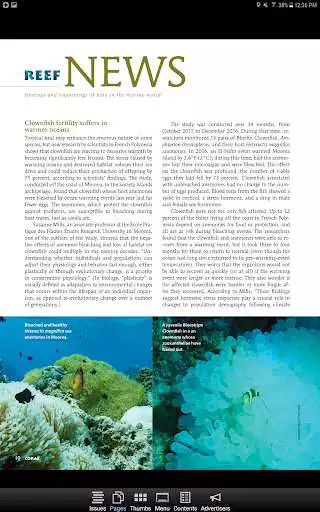 Play Coral Magazine Play Coral Magazine