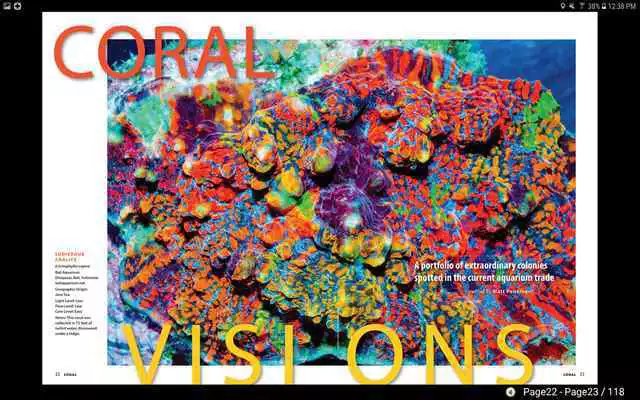 Play Coral Magazine Play Coral Magazine