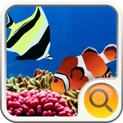 Play Coral Ocean Search Widget APK Play Coral Ocean Search Widget APK