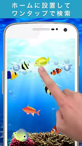 Play Coral Ocean Search Widget  and enjoy Coral Ocean Search Widget with UptoPlay