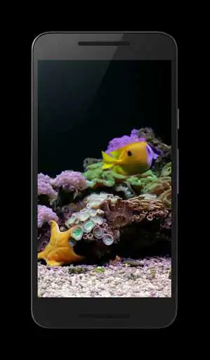 Play Coral Reef Aquarium Video FREE as an online game Coral Reef Aquarium Video FREE with UptoPlay
