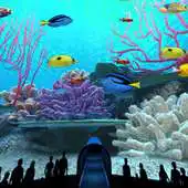 Free play online Coral Reefs World Trial APK