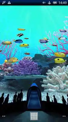 Play Coral Reefs World Trial