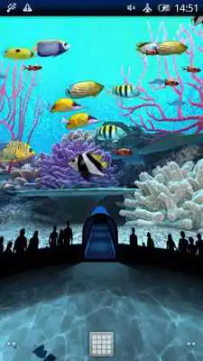 Play Coral Reefs World Trial