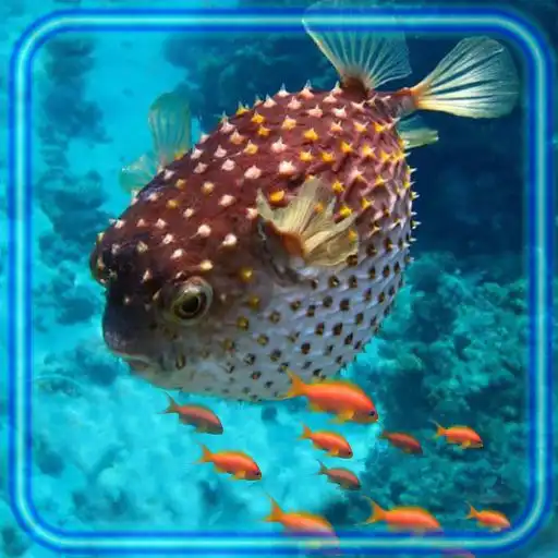 Play Coral Reef Underwater APK