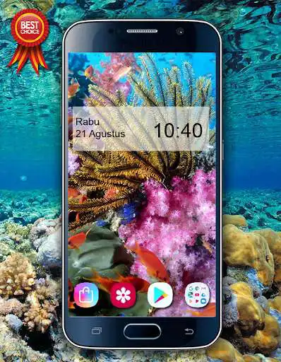 Play Coral Reef Wallpaper 4K  and enjoy Coral Reef Wallpaper 4K with UptoPlay